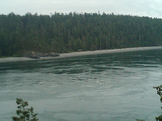 water trees