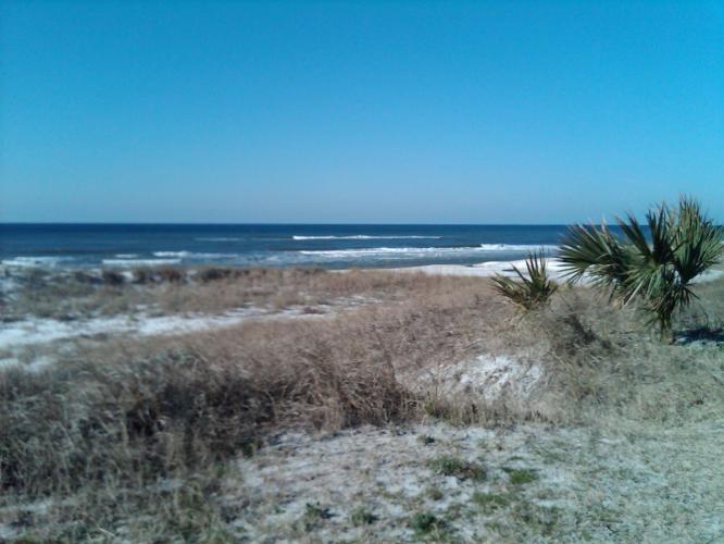 Beach on the Gulf.