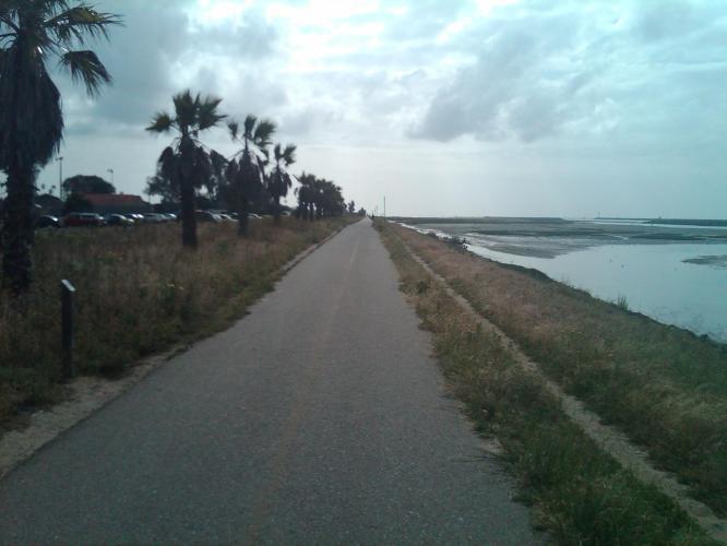 bike path along river