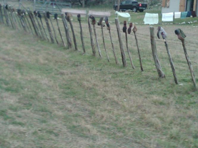 The fence to this house had hundreds of boots on the posts. Kind of odd.