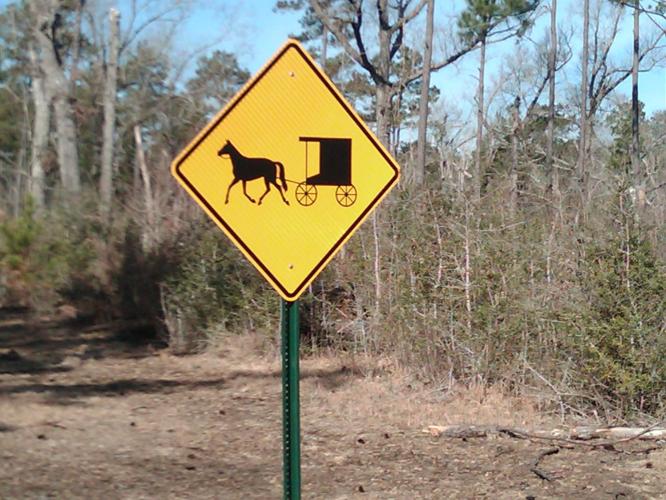 horse and buggy sign