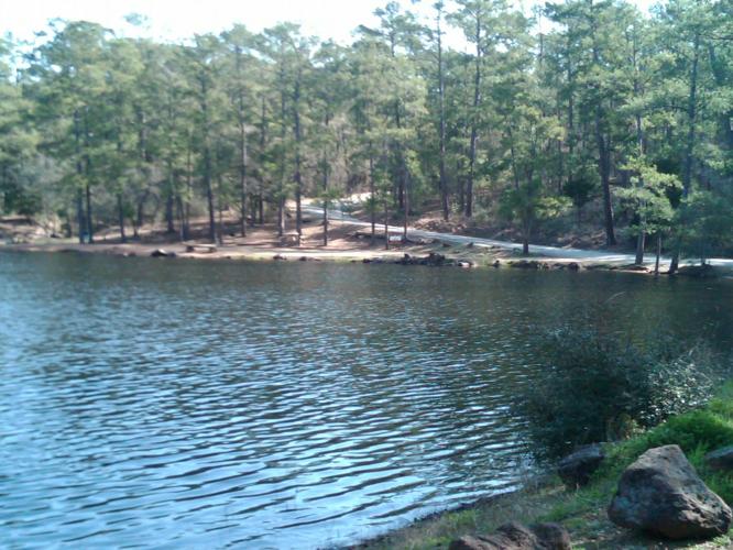 lake trees