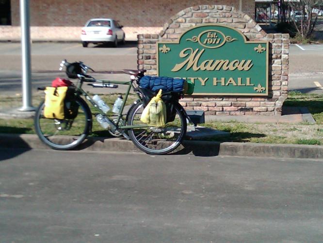 mamou city hall