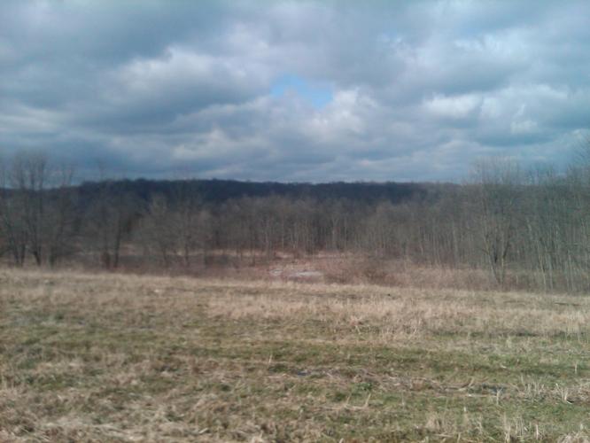 Lots of open fields, followed by rows of trees, followed by mountains. This is how a lot of the ride looked.